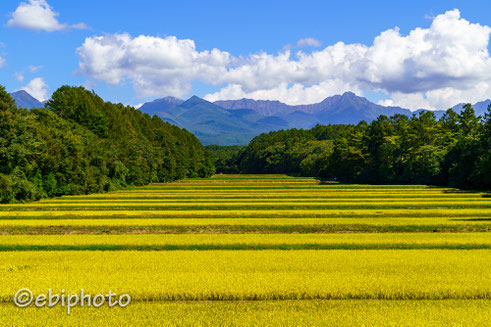 八ヶ岳