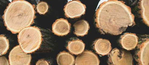 Warum mir Holz wichtig ist? - Über mich und Holzliebe
