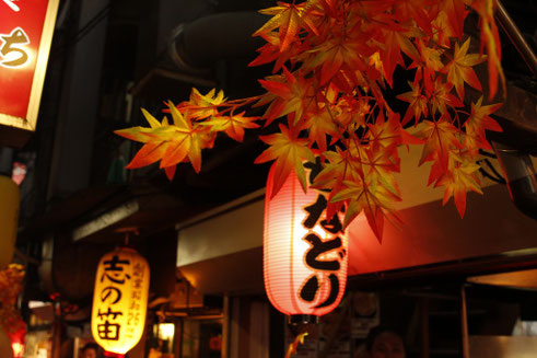 Omoide Yokocho, kleine Restaurants in Tokio