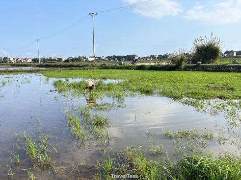 Werken op het platteland
