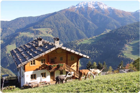 Haus Rauchegg ©Ferienwohnungen "Rauchegg", Urlaub auf dem Bauernhof, Südtirol, Ultental