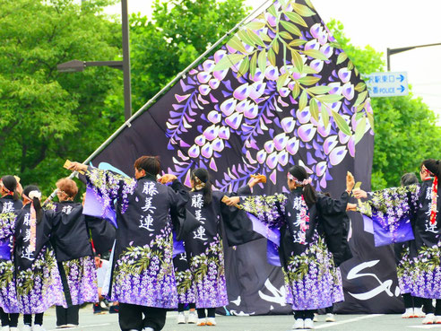 げいび藤美連　「奥州前沢よさこいFesta17」での演舞(令和６年７月14日)
