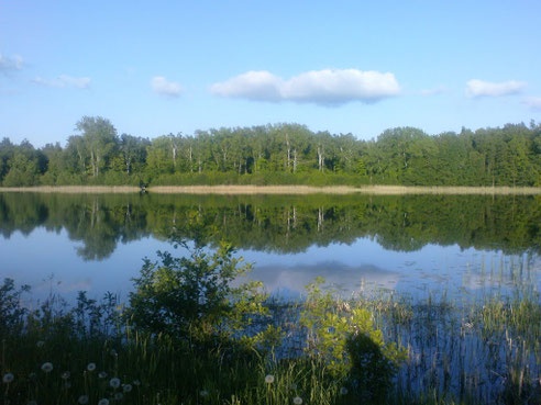 Warschkeiter See