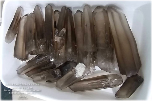 Lemurian seed crystal スモーキークォーツ - 福岡の天然石 Lemurian seed crystal スモーキークォーツ - 福岡の天然石