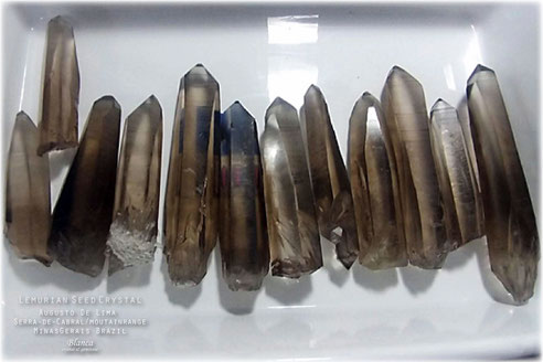 Lemurian seed crystal スモーキークォーツ - 福岡の天然石 Lemurian seed crystal スモーキークォーツ - 福岡の天然石