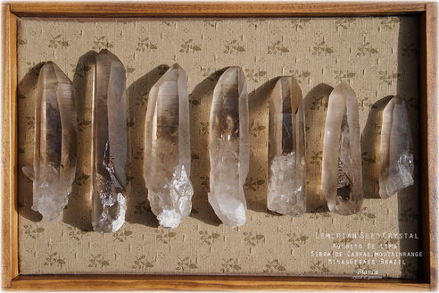 Lemurian seed crystal スモーキークォーツ - 福岡の天然石 Lemurian seed crystal スモーキークォーツ - 福岡の天然石