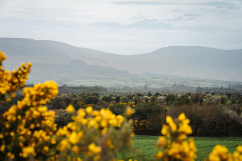Irland; Radfahren; Tourenplanung; Bikepacking; EuroVelo 1