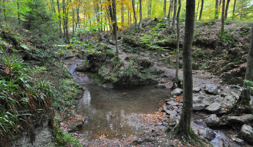 Bain des Naïades