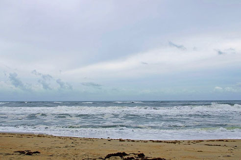 am Atlantik bei Rodanthe