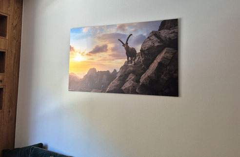 Marcel Schiegg, Wandbild, Spannbild, Wanddekoration, Appenzell, Appenzellerland, Raumakustik, LED Wandbild, Seealpsee