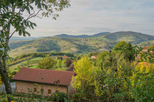 Beaujolais Frankreich