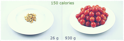 handling weight loss by calorie density