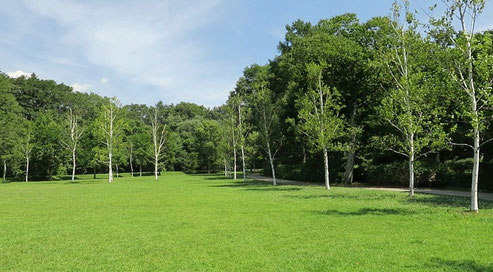 湯川ふるさと公園