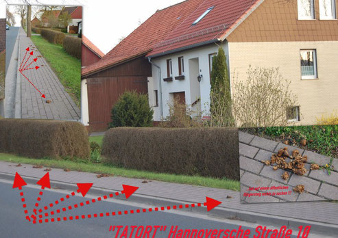 ..erstmals gesehen am 18.04.10 um 07:10 Uhr, fotografiert am 19.04.10 um 19:30 Uhr