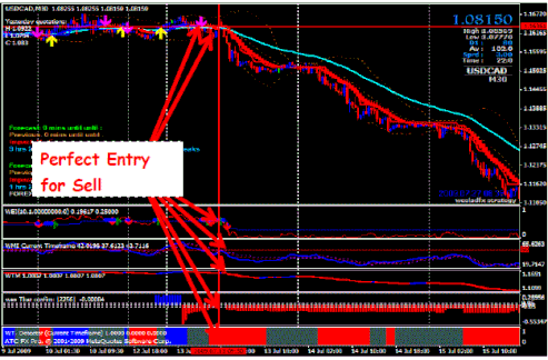 Pips flush