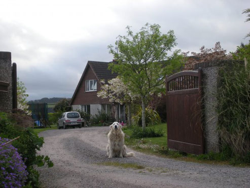 Irland durchschnittlichen Haus mit 6 Schlafzimmern