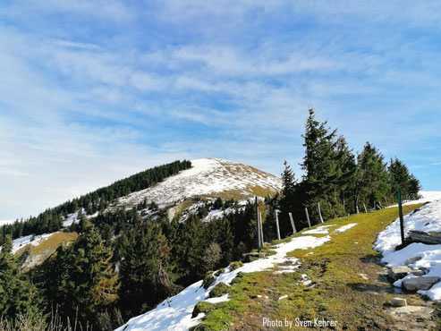 Blick auf den Trattberg Gipfel