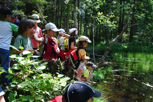 Kindergruppe beim Teich am Sturm-Archehof in Heiligenblut