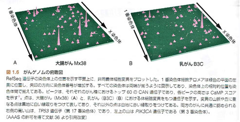 「デヴィータ がんの分子生物学」より