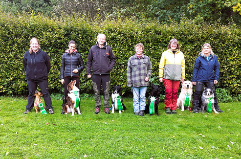 Sechs Personen stehen nebeneinander auf einer Wiese vor einer Hecke, jeweils mit einem Hund an der Leine, die Hunde tragen grüne Schleifen.