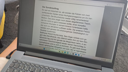 Blick in den Rheinhessen-Mystery-Krimi von Mark Lanvall