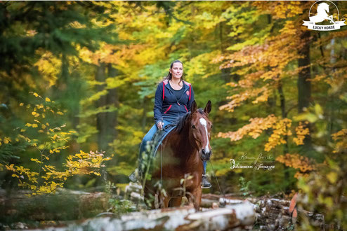 Freiarbeit, Horsemanship, freies Reiten, Wald, Ausreiten, Warmblut