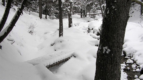 Raquetes de neu al pla de la Corda