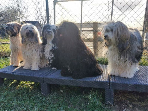 von li. nach re.: Kha-ra, Fiona, Lisha, Santi und Han-na