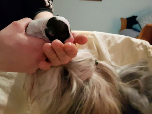 00:05 Uhr: Han-na bekommt ihre erstgeborene Tochter ♥