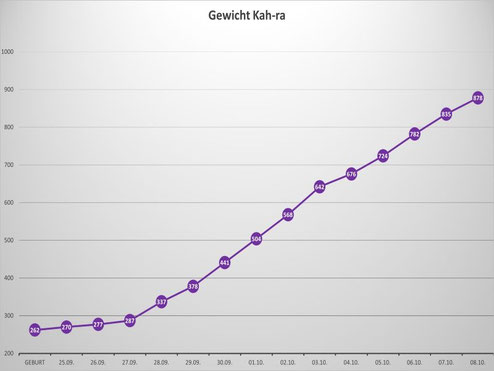 Kah-ras Gewichtskurve in den ersten beiden Wochen