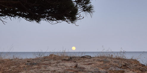 Luna Piena/ mare nostrum/ 2025, Luglio 10 ore 21.15 (Foto Michael Lang 2025)