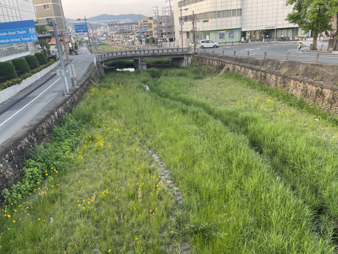 宝塚市逆瀬川