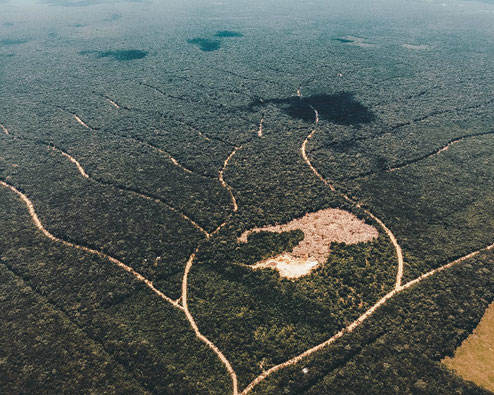 Comunidad Ecologica Sustentable cercana a Tulum - México   que preserva el 93% del área total de cada lote