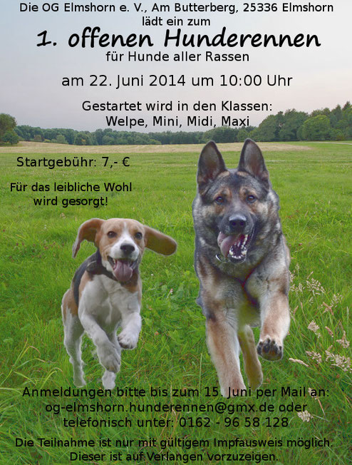 22.06.2014 Hunderennen