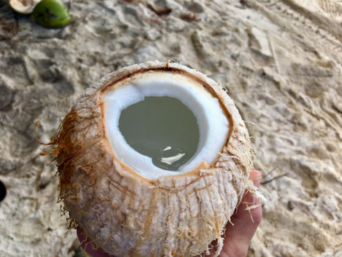 coconut, nu, fresh coconut water, rarotonga, See Cook Islands,