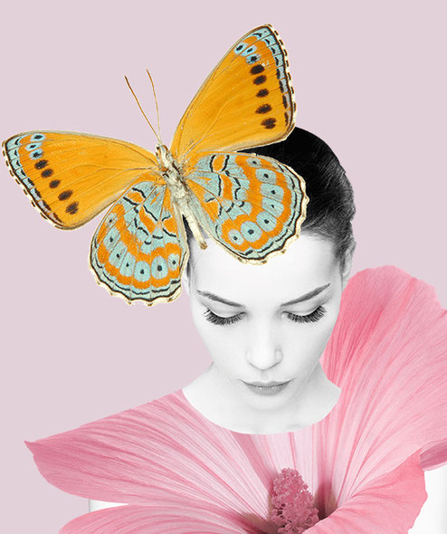 TOP - ファファラ farfalla 自分の心地よさをみつける、オーガニク