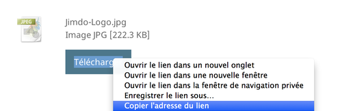 Copiez l`adresse du lien