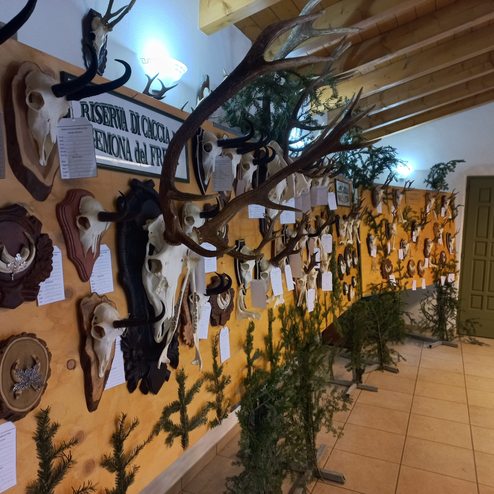 Mostra trofeistica tra Riserve limitrofe del 26/03/2023