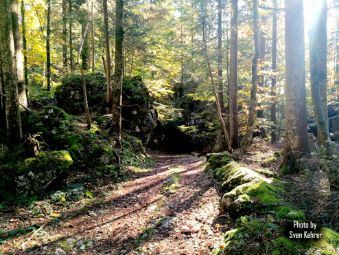 Der Weg von der Kapelle auf die normale Seewaldseestraße