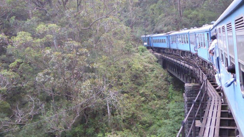 Bild: Mit dem Zug durch Sri Lanka
