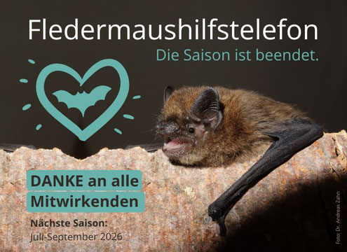 Foto: Dr. Andreas Zahn