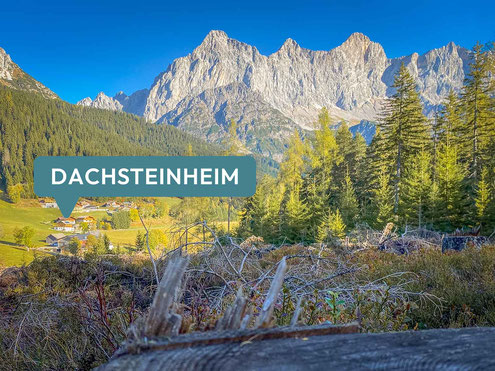Ferienwohnung in top Lage mit Blick auf den Dachstein