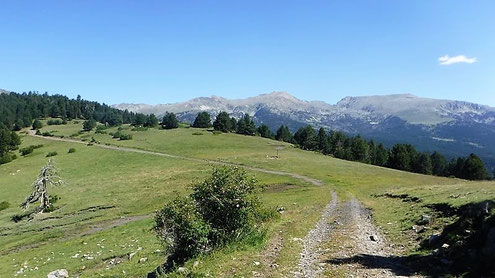 TC268 - Senderisme - Excursió - Camí del Mirador