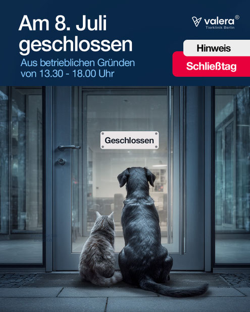 Marketing Agentur Berlin Köpenick