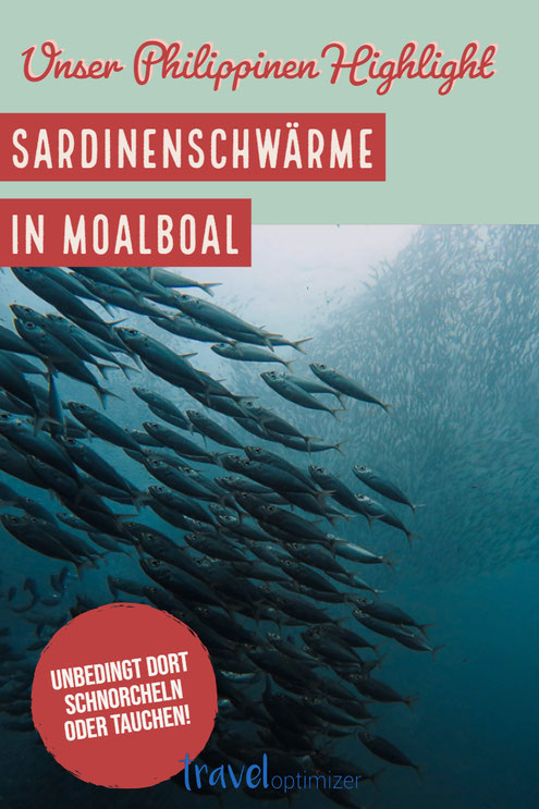 Moalboal Reisetipps Philippinen