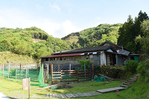 山の緑に抱かれた「ロバの本屋」