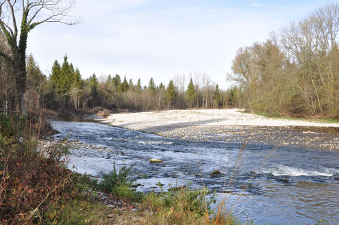 Reihe 1: 2013 Untere Alz, natürlicher Flusslauf durch Eigendynamik