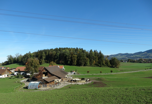 (Bild: buebikernews)