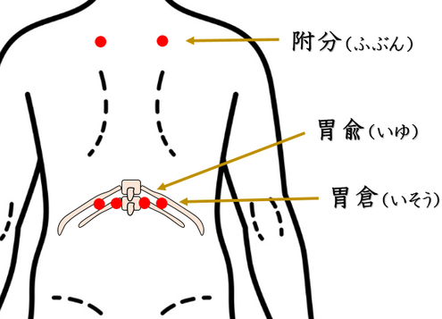 背中の痛み・鍼灸師がおススメする自分で出来るセルフケアを紹介・ツボ・経穴・附分・胃兪・胃倉・足反射・足つぼ・東洋医学・鍼灸・漢方・漢方薬