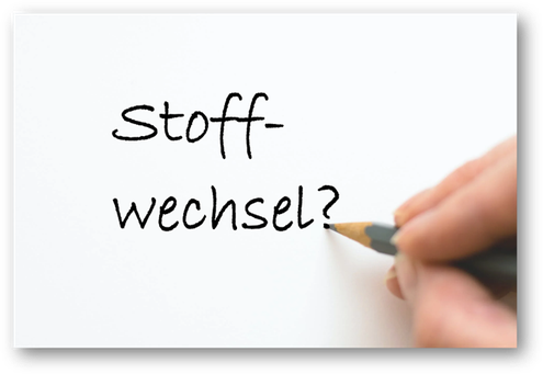 Stoffwechsel  Zukcerstoffwechsel, Immunsystem, Gehirngesundheit, Schlaf - Diabetes